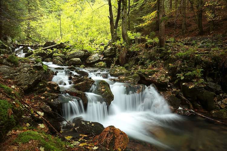 View of a shady creek flowing through rocks
