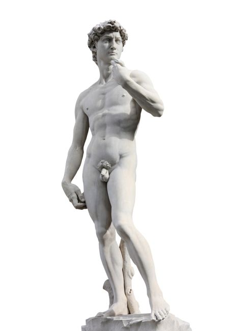 Michelangelo's David