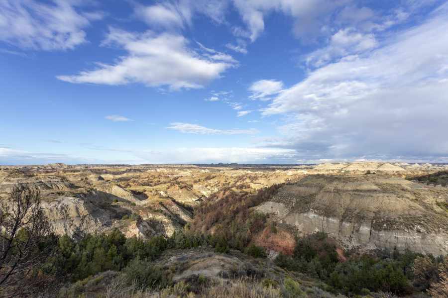 Theodore Roosevelt National Park