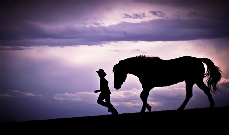 Boy and horse running downhill in silhouette