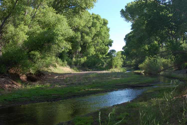 San Pedro River