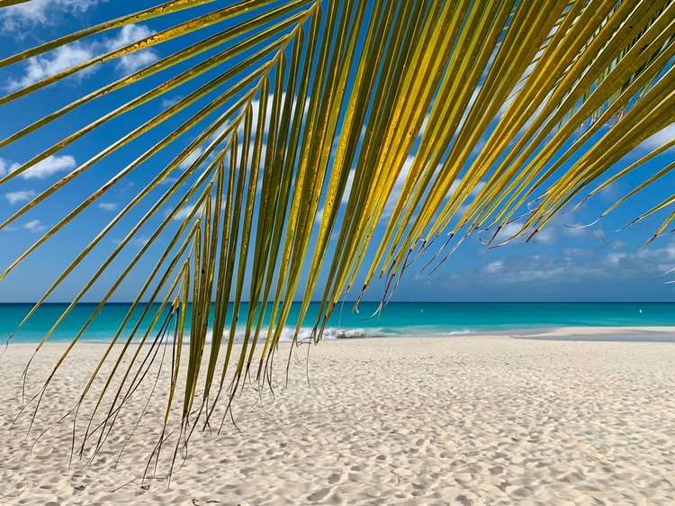 Tranquil beach scene