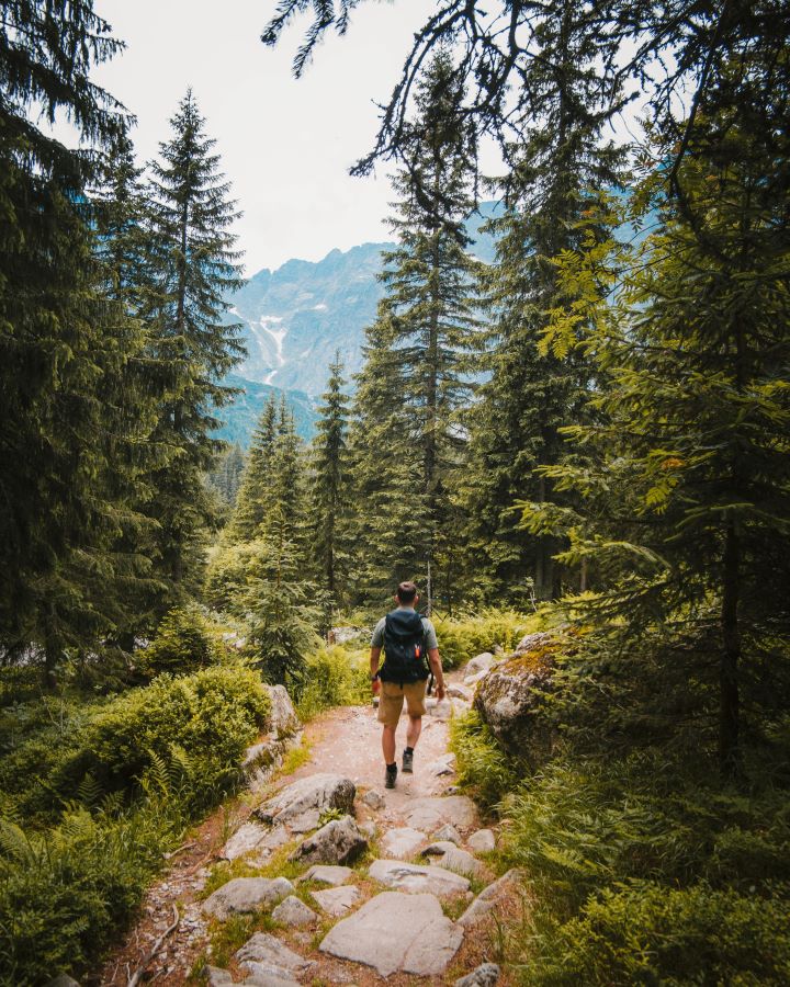 Hiker on Appalachian Trail