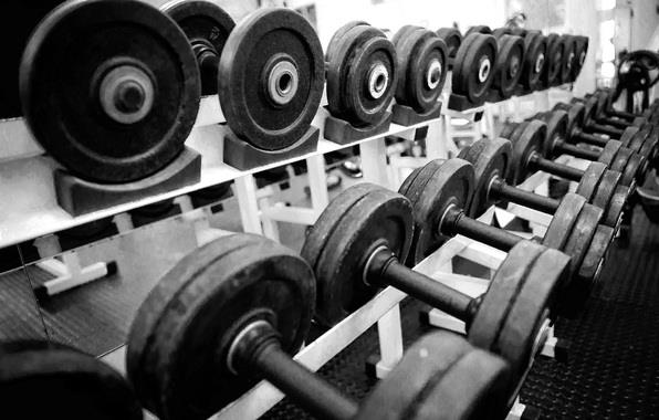 Gym weights