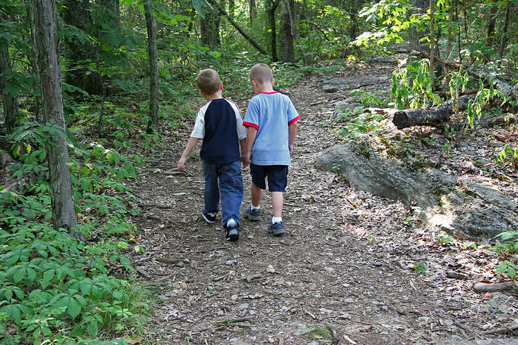 Two five-year-old boys walking along wooded trail