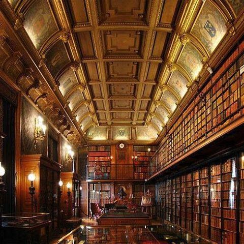 My library