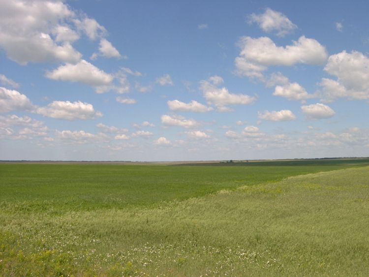 Deserted rural scene