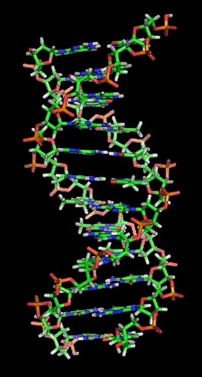 DNA strand