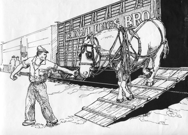 Seth Unloading Lead Percheron