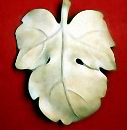 David’s fig-leaf