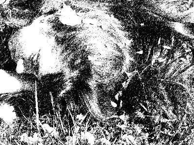 Person lying on thr ground